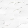 Msi Aria Bianco 12 In. X 24 In. Polished Porcelain Floor And Wall Tile, 8PK ZOR-PT-0233